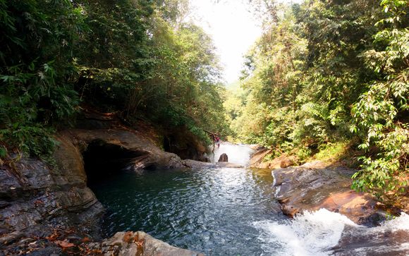 Ihre Ausflugsoptionen