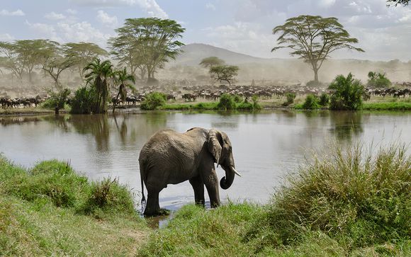 Ihre Safari im Überblick 