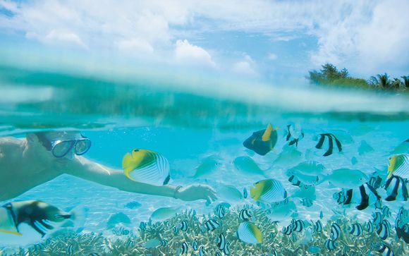 Im Angebot inbegriffen