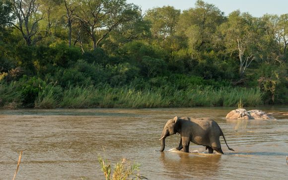 Ihre Reise im Detail