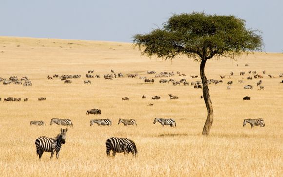 Ihre Safari im Detail