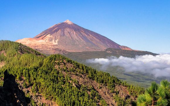 Ihre Kreuzfahrt im Detail
