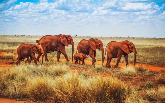 Ihre Rundreise im Überblick