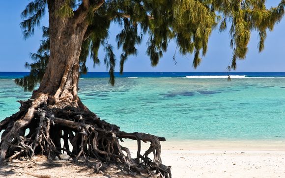 Rendez-vous à... La Réunion !