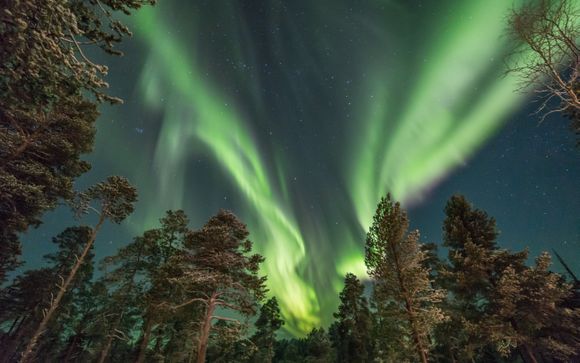 Im Angebot enthalten