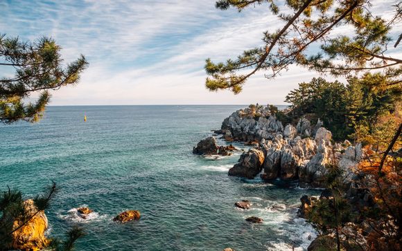 Ihre Reise im Detail