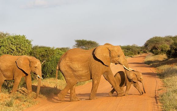 Ihre Safari im Überblick 