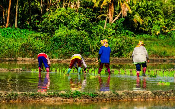 Ihre Rundreise im Detail