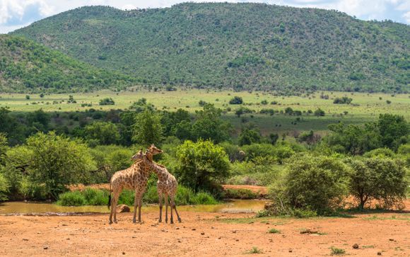 Willkommen in Südafrika!
