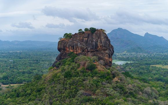 Ihre Ausflugsoptionen