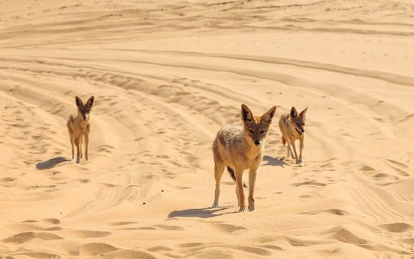 Mettez une option sur l