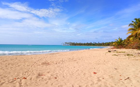 Willkommen in Miches