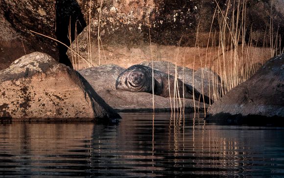 Ihre Ausflugsoptionen