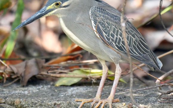 Ihre Ausflugsoptionen