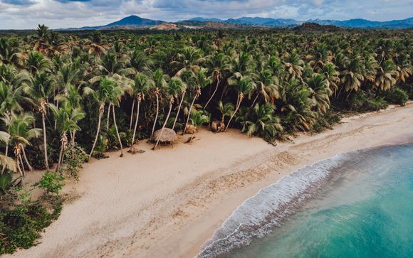 Im Angebot enthalten