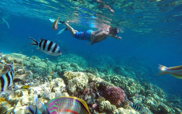 Ihre Ausflugsoptionen