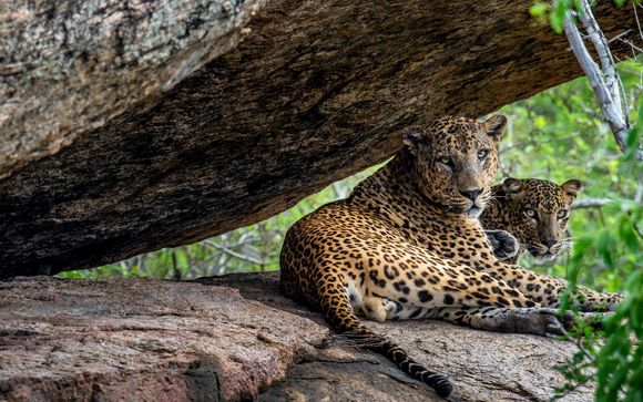 Ihre Rundreise im Detail