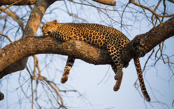 Programm in 5 Nächten 