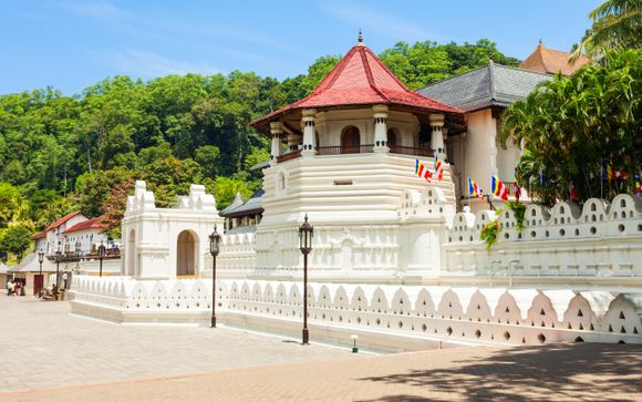 Ihre Ausflugsoptionen