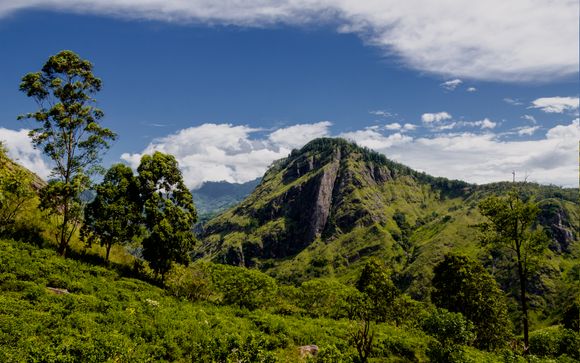 Ihre Rundreise im Detail