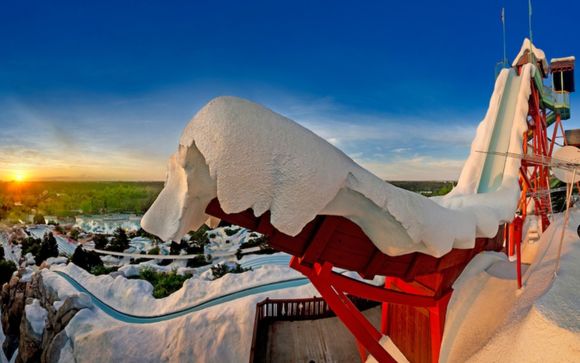 Entdecken Sie das Walt Disney World® Resort in Orlando