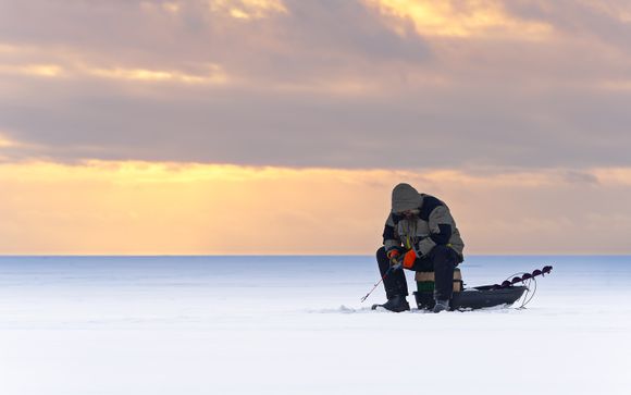 Ihre Ausflugsoptionen