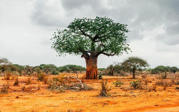 Ihre Safari im Detail