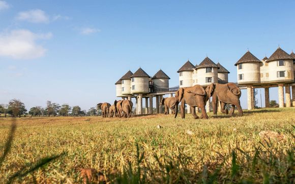 Für Ihren Komfort während der Safari