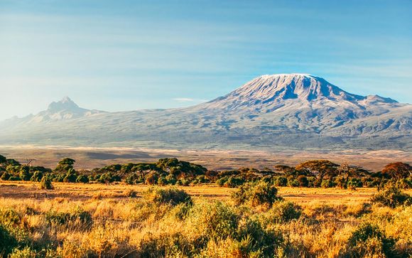 Ihre Safari im Detail