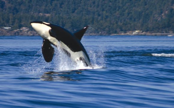 Ihre Rundreise im Überblick