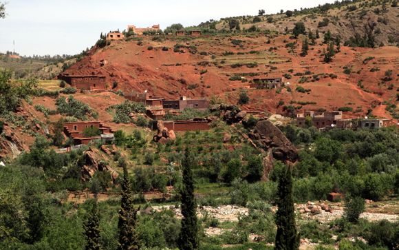 Ihre Ausflugsoptionen