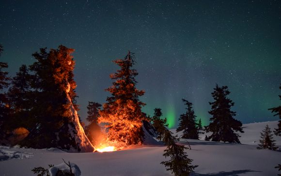 Ihre inbegriffenen Ausflüge