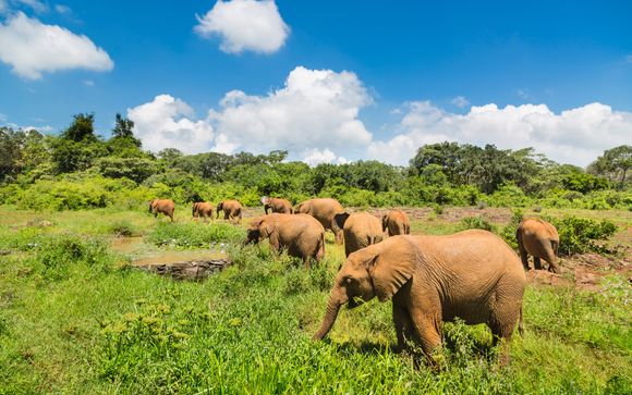 Ihre Safari im Detail