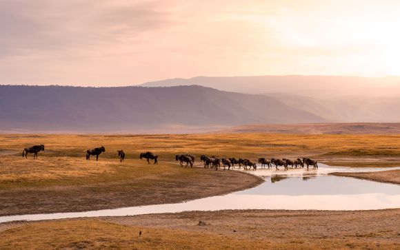 Ihre Safari im Detail