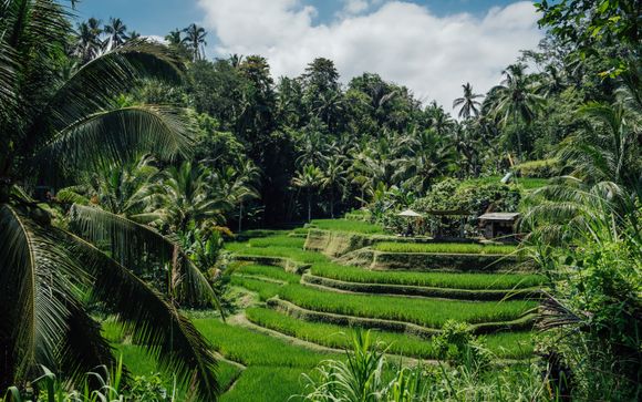 Willkommen in Indonesien!