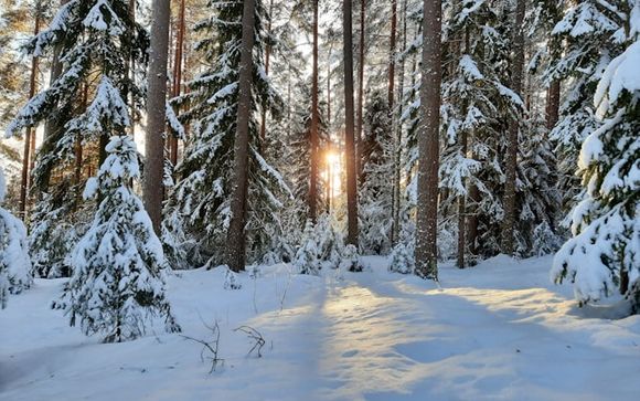 Ihre Rundreise im Detail