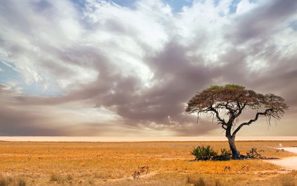 Ihre Rundreise im Detail