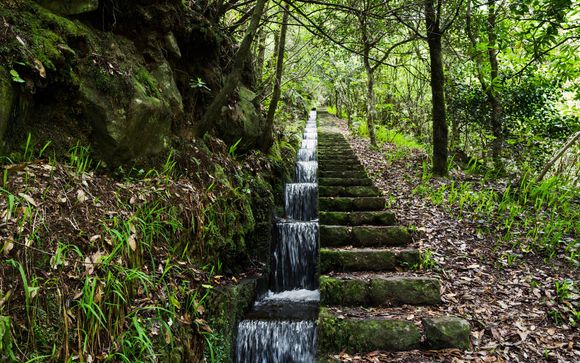 Ihre Rundreise im Detail