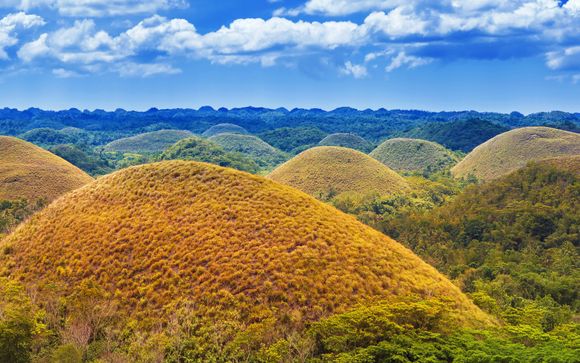 Ihre Reise im Detail