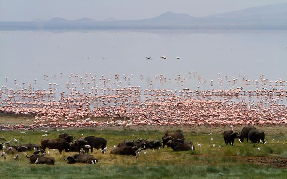 Ihre Rundreise im Detail