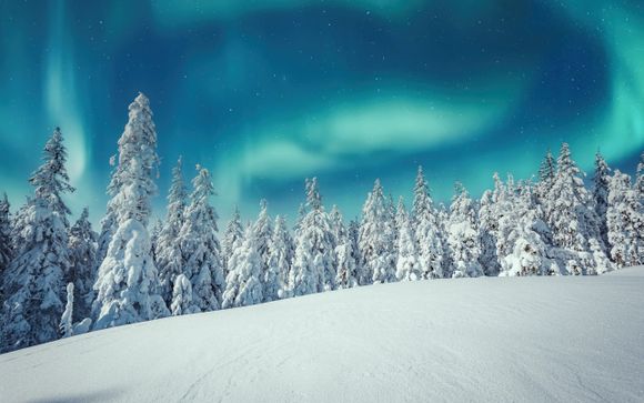 Im Angebot enthalten