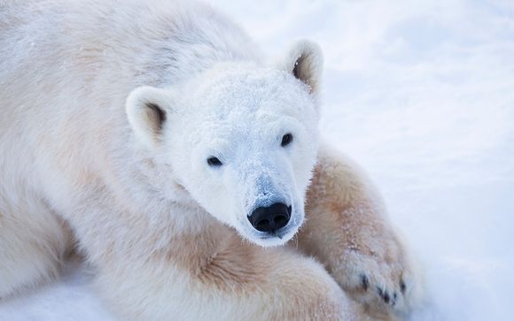 Ihr Programm 8 Tage / 7 Nächte