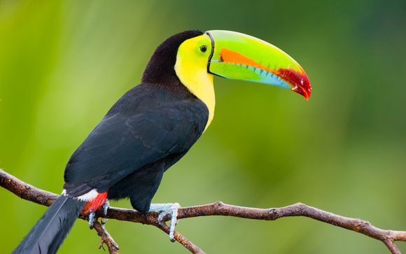 Ihr Reise im Detail für 15 Tagen und 14 Nächten