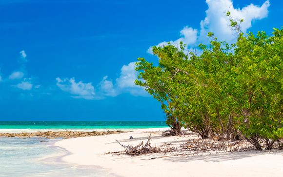 Willkommen auf... Kuba