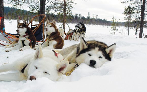 Ausflüge die für Sie im Preis inbegriffen sind!