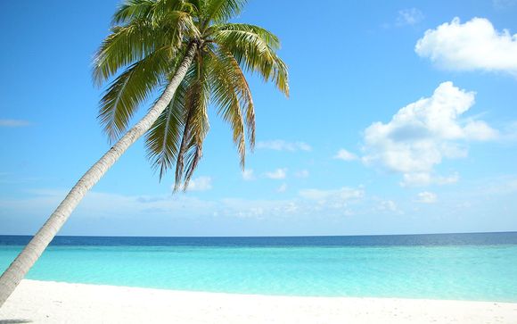 Willkommen auf ... den Malediven!