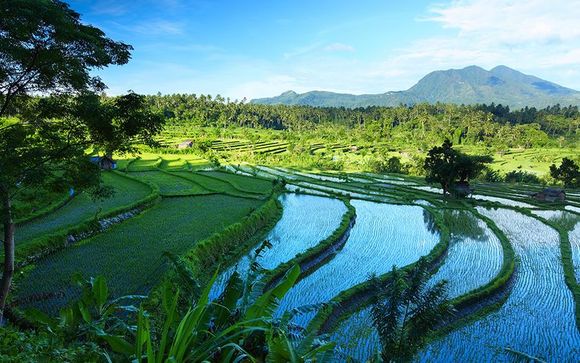 Willkommen auf... der Insel Bali!