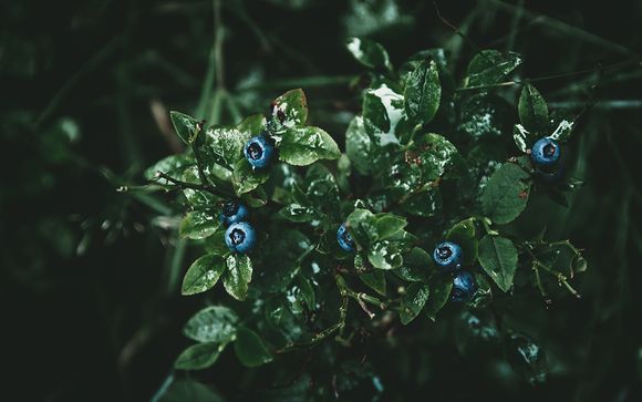 Ihr Freizeit- und Wellnessangebot