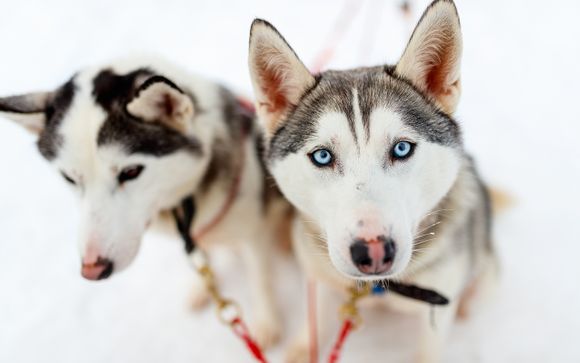 Ihre Reiseroute im Detail