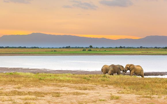 Willkommen in... Kenia!